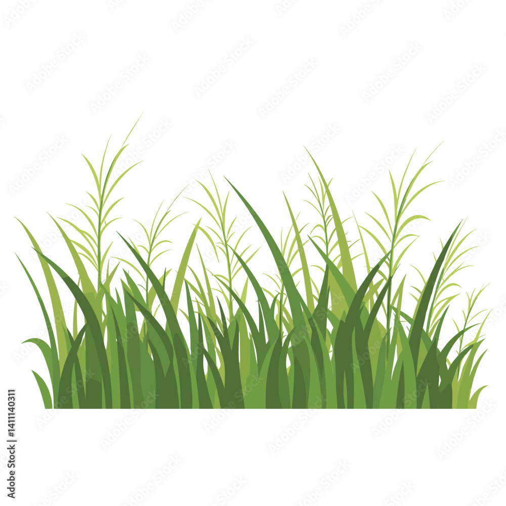 Obraz premium Grass illustration green vegetation vector