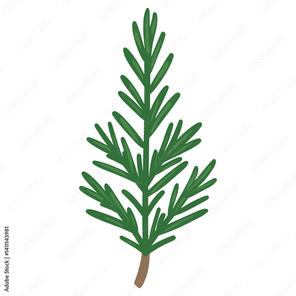 Fototapeta premium Green rosemary leaf illustration simple plant vector