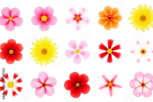 Wallpaper Mural bunch of different colored flowers on a white background Torontodigital.ca