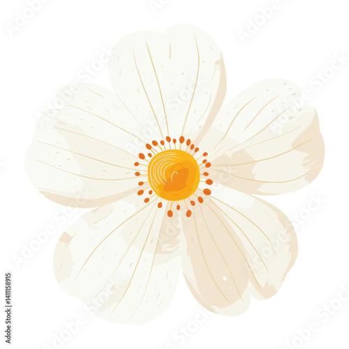 White flower illustration petals design vector