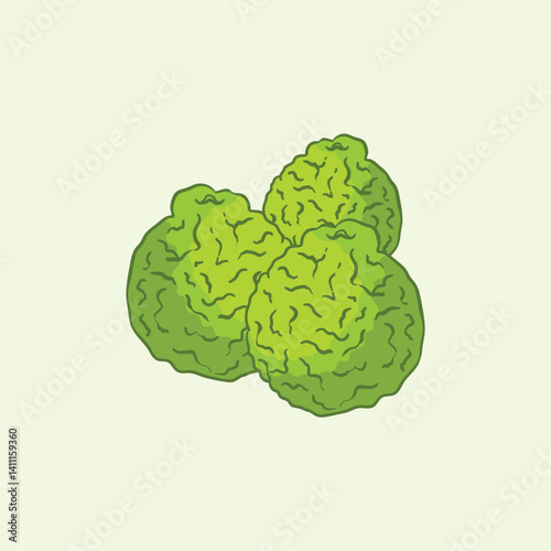 Bergamot Orange Fruit Flat Design Cartoon Illustration