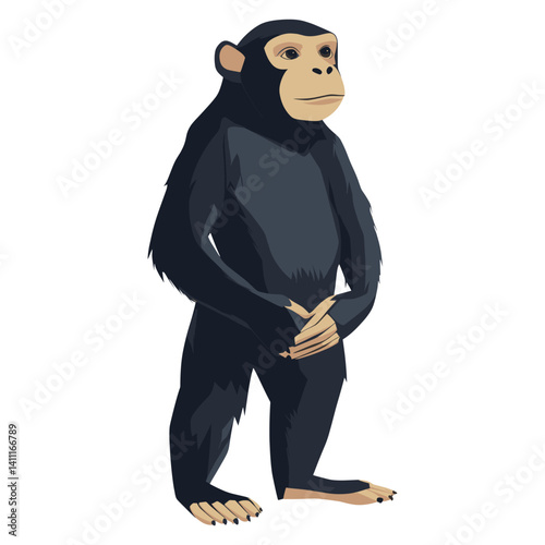Animal wildlife character illustration standing chimpanzee vector