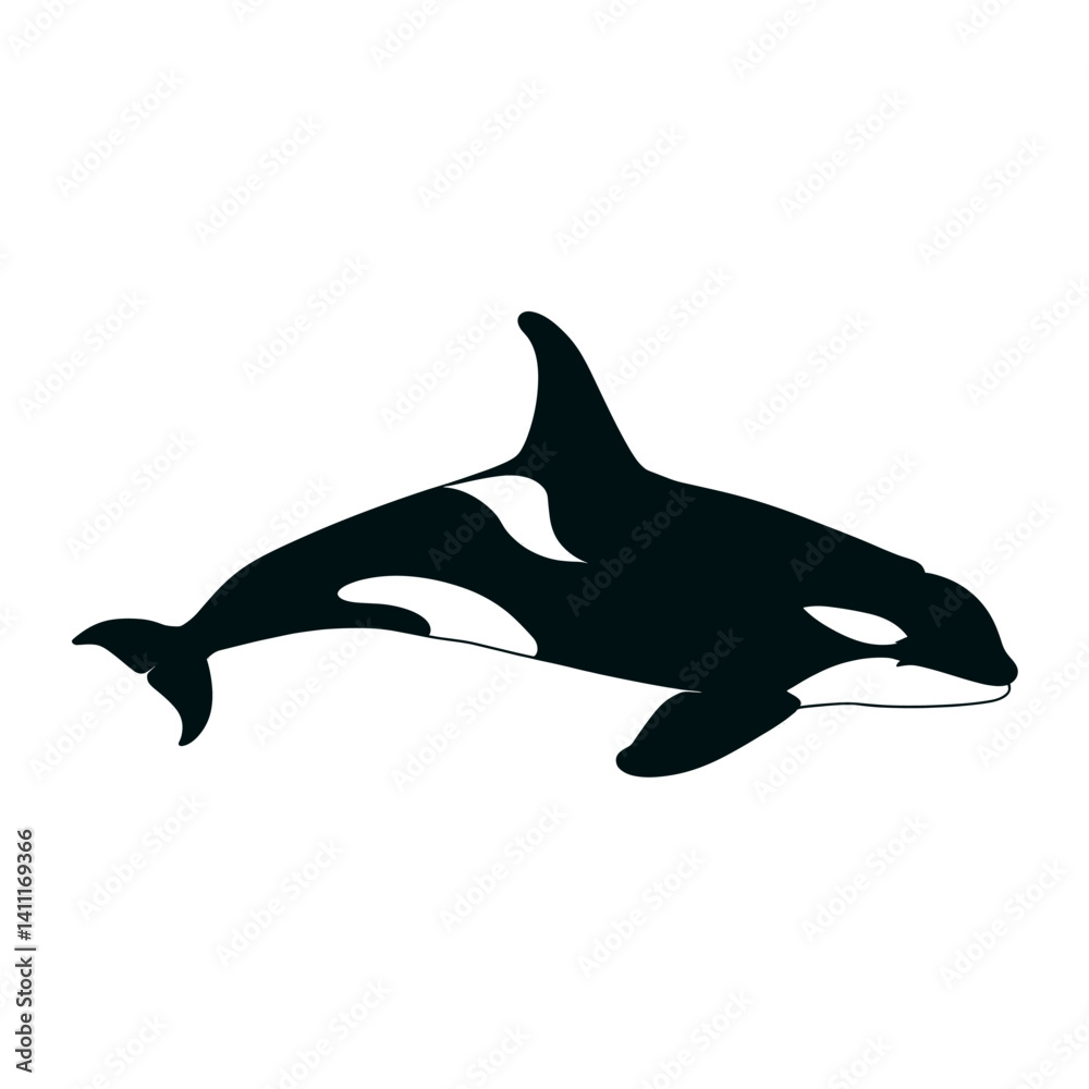 Obraz premium Orca silhouette graphic animal vector