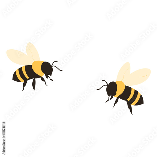 Bee illustration insect flying vector