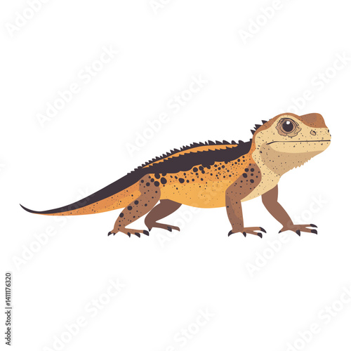 Illustration of Frilled Lizard lizard reptile animal vector