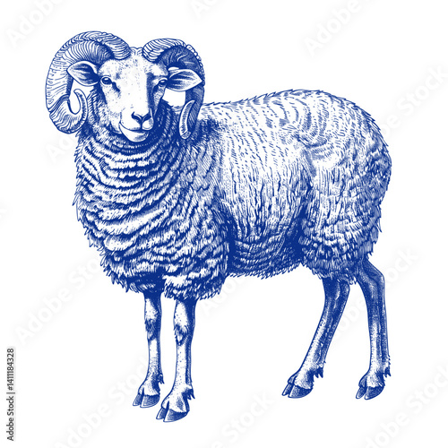 Hand drawn a sheep with horn drawing animal blue vector