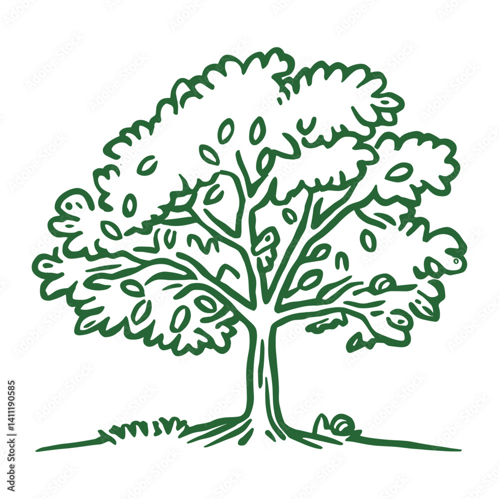 Oak tree drawing art illustration vector