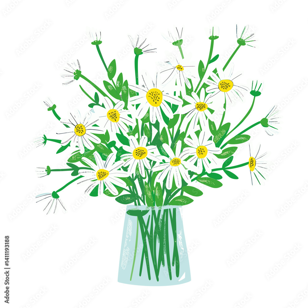 Fototapeta premium Daisy Bouquet flower daisies daisy illustration vector