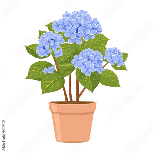 Potted plant Hydrangea pot illustration hydrangea vector