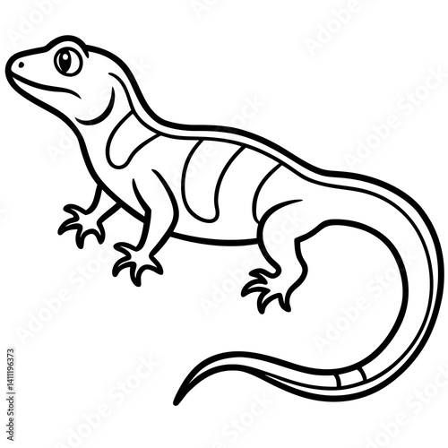 lizard on white background