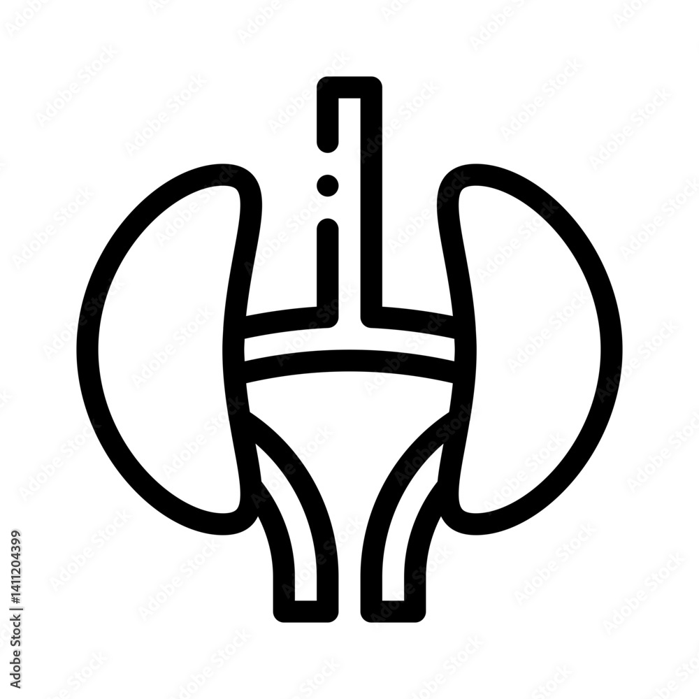 Obraz premium kidney line icon