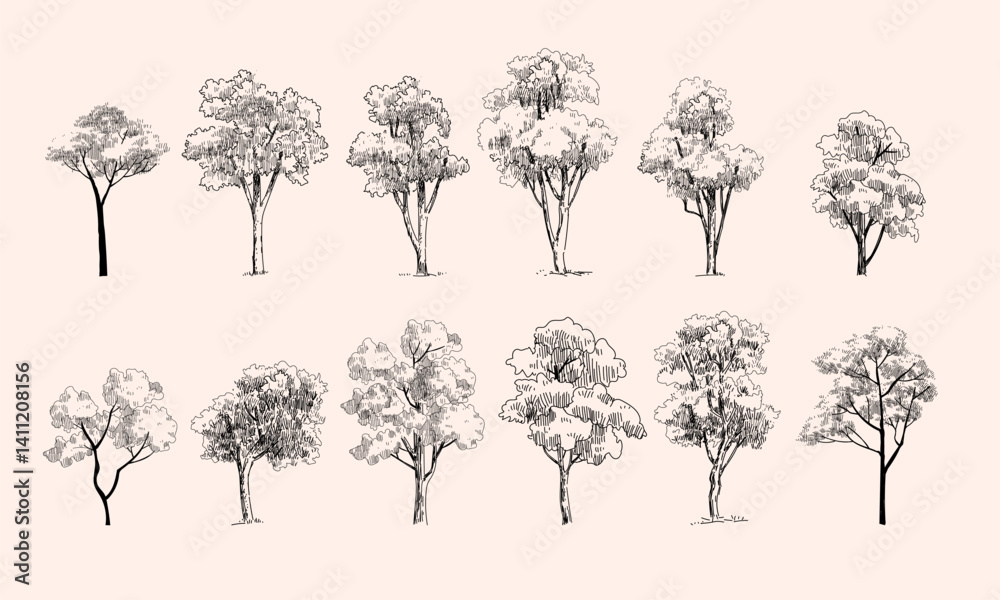 Set od trees line drawing vector illustration. Trees elements outline symbolo for architecture and nature landscape.