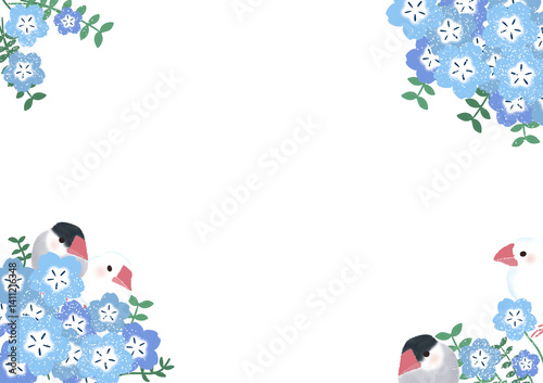 桜文鳥と白文鳥のネモフィラのフレーム