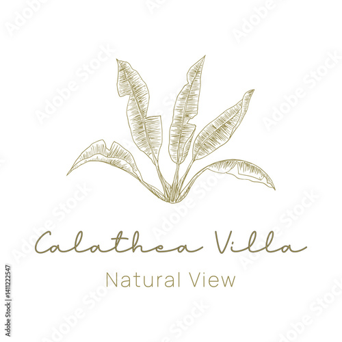 Calathea logo with hand drawn style for natural brand or skincare