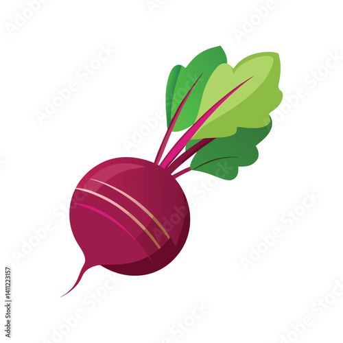 Fresh red beetroot vegetable isolated on white
