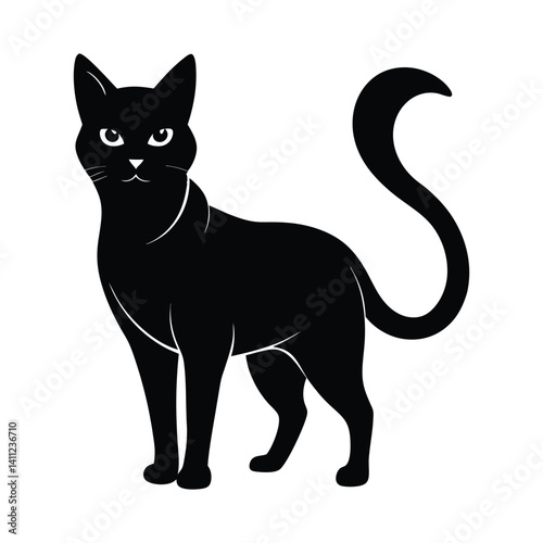 black cat isolated on white