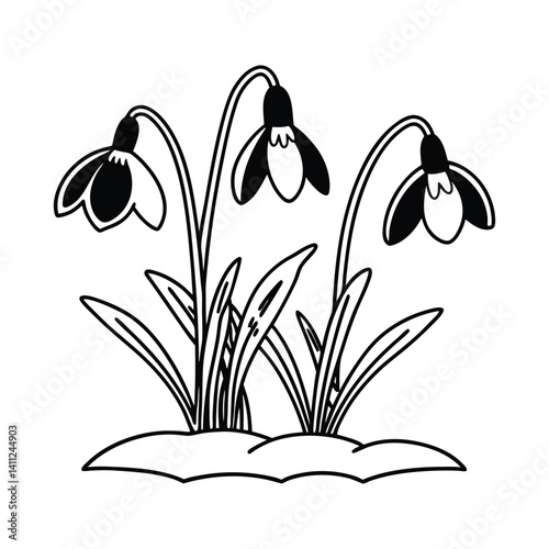 Snowdrop Flowers Vector Silhouette With Thick Outline For Laser Engraving