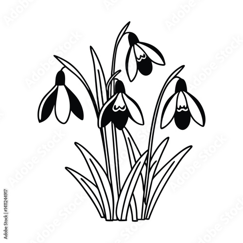 Snowdrop Flowers Vector Silhouette With Thick Outline For Laser Engraving