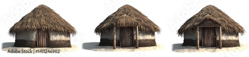 Traditional thatched-roof huts