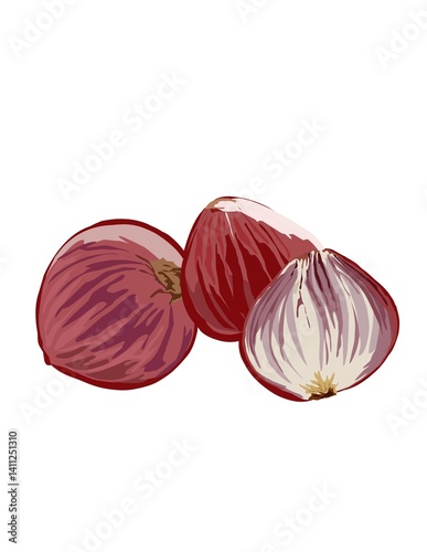 Hand drawn illustration of red onion.