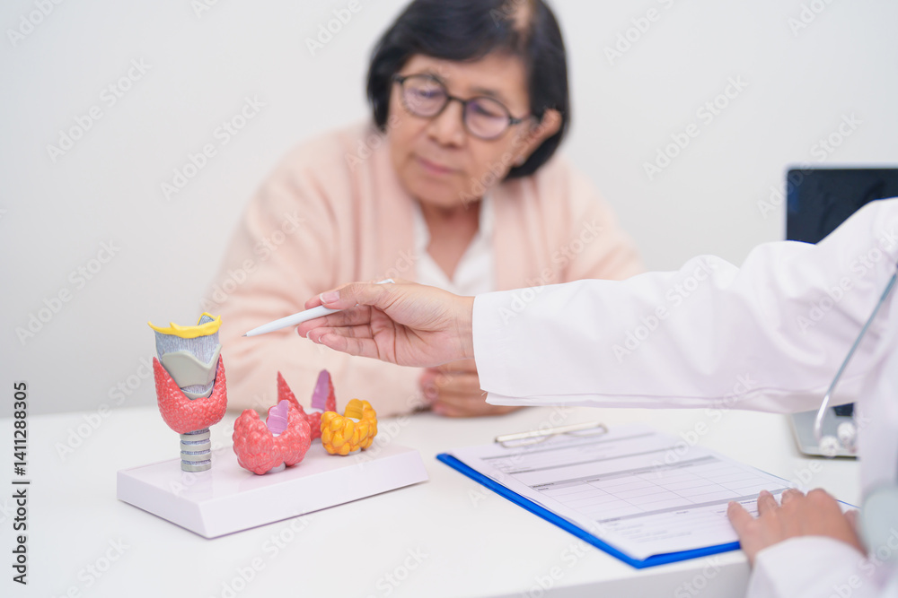 Elderly Patient having Neck pain and consulting with Doctor to Thyroid disease. Anatomy Thyroid model for Hyperthyroidism, Hypothyroidism, Hashimoto Thyroiditis, Thyroid Tumor and Cancer Elderly Patient having Neck pain and consulting with Doctor to Thyroid disease. Anatomy Thyroid model for Hyperthyroidism, Hypothyroidism, Hashimoto Thyroiditis, Thyroid Tumor and Cancer