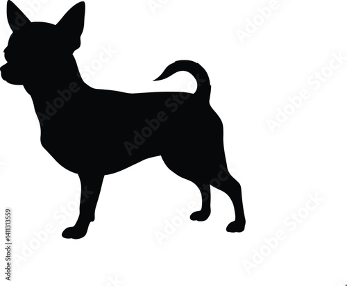 Chihuahua dog silhouette. This image depicts the profile of a Chihuahua, also referred to as a toy breed or tiny companion dog. Vector clipart black illustration design.