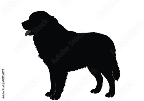 Great Pyrenees silhouette. This image portrays the profile of a standing Great Pyrenees dog, also referred to as a fluffy canine or loyal guard dog. Vector clipart black illustration design.