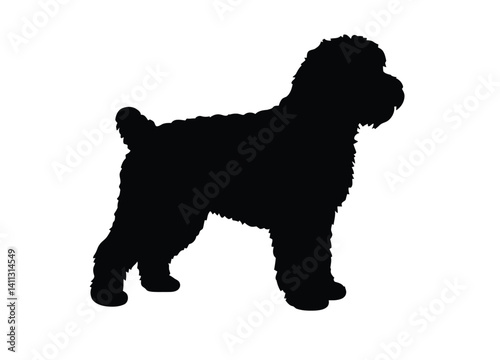 Labradoodle silhouette. This image shows the profile of a standing Labradoodle, also referred to as a friendly companion or furry pet. Vector clipart black illustration design.