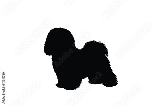 Maltese dog silhouette. This image shows a silhouette of a Maltese dog, also referred to as a fluffy toy dog or adorable companion. Vector clipart black illustration design.