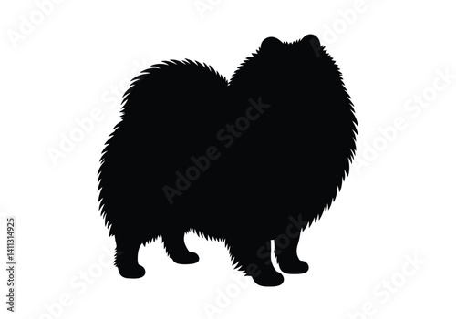 Pomeranian silhouette. This image shows a silhouette of a fluffy Pomeranian dog standing, also referred to as a toy breed or adorable companion. Vector clipart black illustration design.