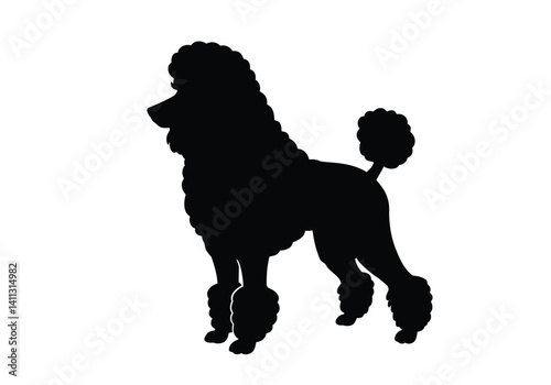 Poodle dog silhouette. This image shows a black silhouette of a poodle, also referred to as a curly-haired breed or elegant canine. Vector clipart black illustration design.