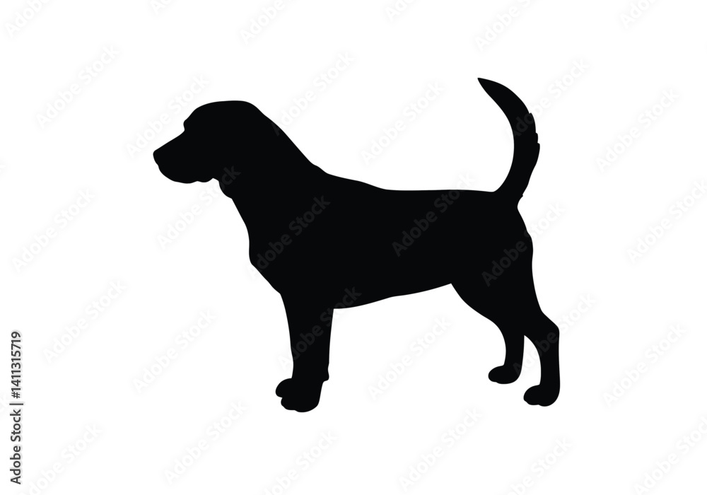 Beagle dog silhouette. This image showcases a standing beagle profile, also referred to as a beagle hound or scent hound. Vector clipart black illustration design. Beagle dog silhouette. This image showcases a standing beagle profile, also referred to as a beagle hound or scent hound. Vector clipart black illustration design.