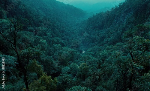 Lush valley, misty forest photo