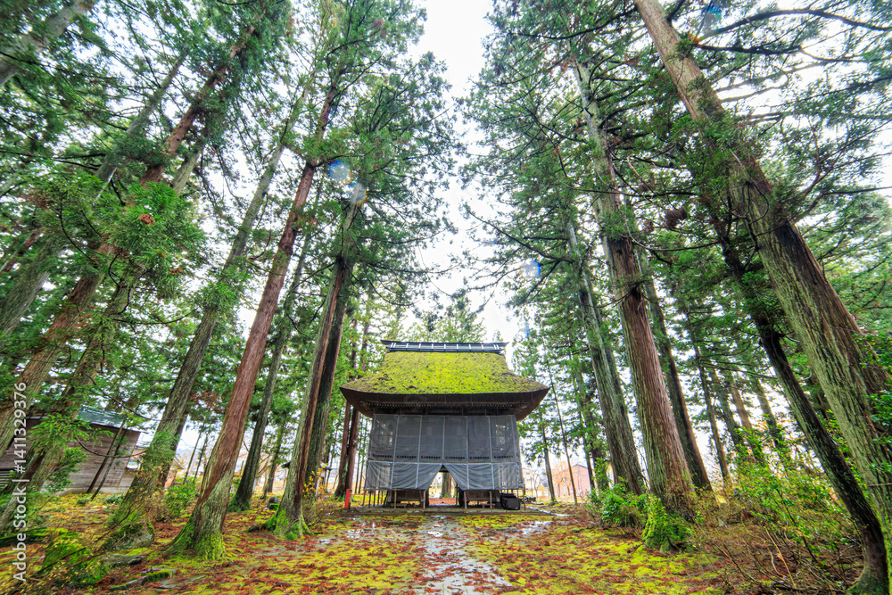 苔むした立派な山門。
当時は工事中だった。
神秘的で美しい神宮寺。
茅葺き屋根の本堂と緑が美しい苔むした境内と杉の大木林が印象的。
冬季に訪れたので、豪雪対策の雪囲いが施されている。
平安時代(8世紀末)に開創。
山門・観音堂・仏像3体が新潟県指定文化財。
境内と山林が十日町市指定文化財。
新潟県十日町市 - 2024年12月1日
苔むした立派な山門。
当時は工事中だった。
神秘的で美しい神宮寺。
茅葺き屋根の本堂と緑が美しい苔むした境内と杉の大木林が印象的。
冬季に訪れたので、豪雪対策の雪囲いが施されている。
平安時代(8世紀末)に開創。
山門・観音堂・仏像3体が新潟県指定文化財。
境内と山林が十日町市指定文化財。
新潟県十日町市 - 2024年12月1日