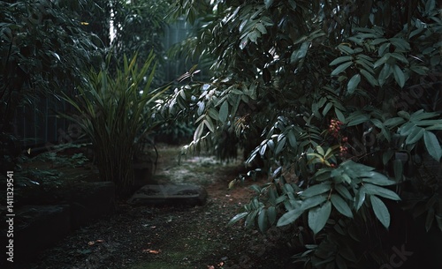 Lush garden path in dense foliage photo