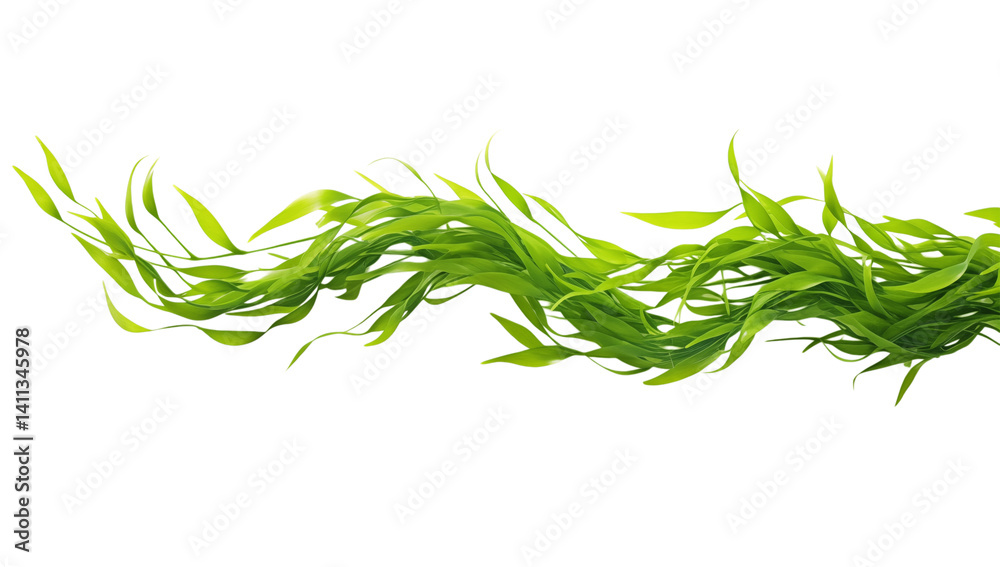 Obraz premium A close up view of a green plant with long leaves on a black isolated background image detail png