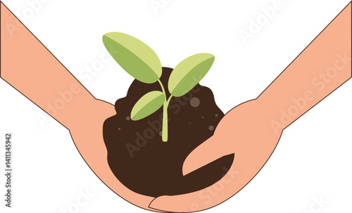 Reforestation Illustration