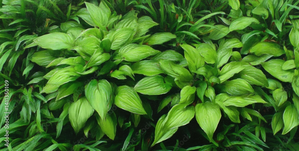 Lush green foliage (2) Lush green foliage (2)