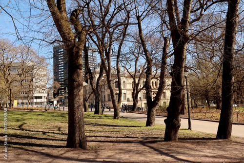 Wall Mural Park