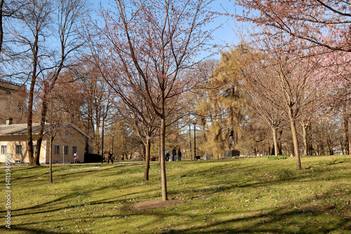 Obraz na płótnie Park w salonie