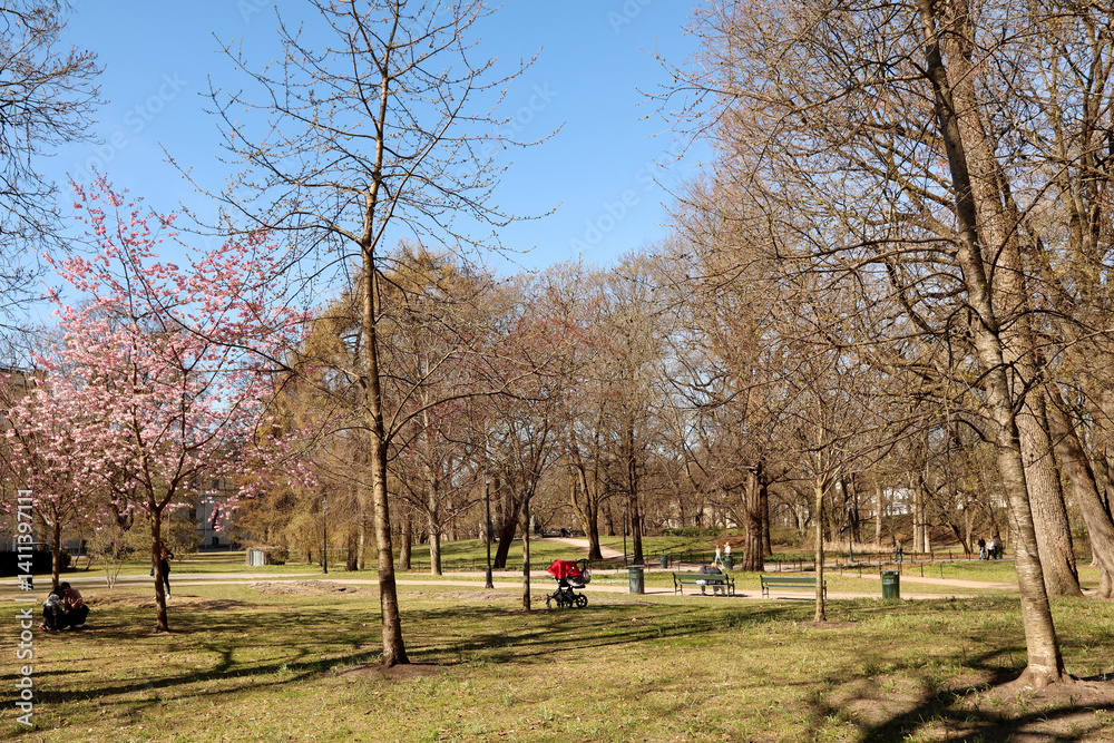 Park
