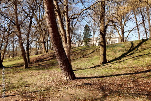 Photography Park