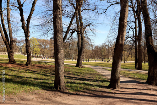 Obraz na płótnie Park w salonie