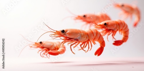 Wallpaper Mural Several boiled prawns levitating, showcasing vibrant pink hue on stark white , culinary, isolated Torontodigital.ca