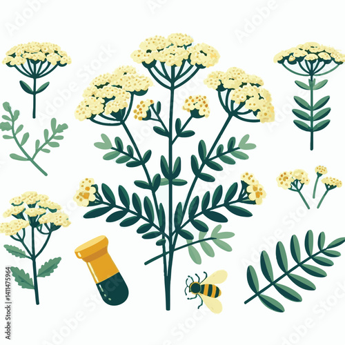 plant, yarrow, background, blossom, flower, nature, herb, medicine, garden, white, bloom, natural, leaf, green, floral, achillea millefolium, beautiful, achillea, herbal, petal, milfoil, blooming, flo