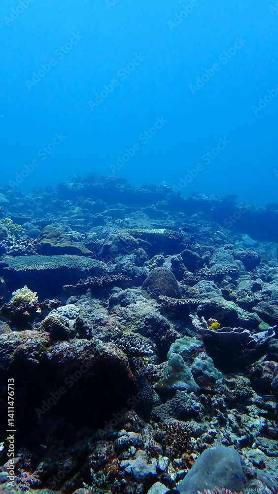 Obraz premium Beautiful underwater view at Mantanani Island, Sabah Malaysia