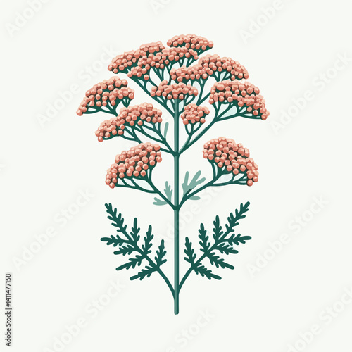 plant, yarrow, background, blossom, flower, nature, herb, medicine, garden, white, bloom, natural, leaf, green, floral, achillea millefolium, beautiful, achillea, herbal, petal, milfoil, blooming, flo