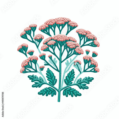 plant, yarrow, background, blossom, flower, nature, herb, medicine, garden, white, bloom, natural, leaf, green, floral, achillea millefolium, beautiful, achillea, herbal, petal, milfoil, blooming, flo