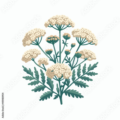 plant, yarrow, background, blossom, flower, nature, herb, medicine, garden, white, bloom, natural, leaf, green, floral, achillea millefolium, beautiful, achillea, herbal, petal, milfoil, blooming, flo