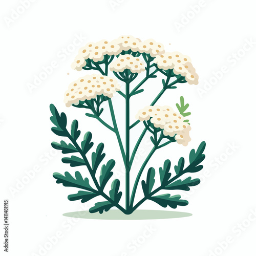 plant, yarrow, background, blossom, flower, nature, herb, medicine, garden, white, bloom, natural, leaf, green, floral, achillea millefolium, beautiful, achillea, herbal, petal, milfoil, blooming, flo